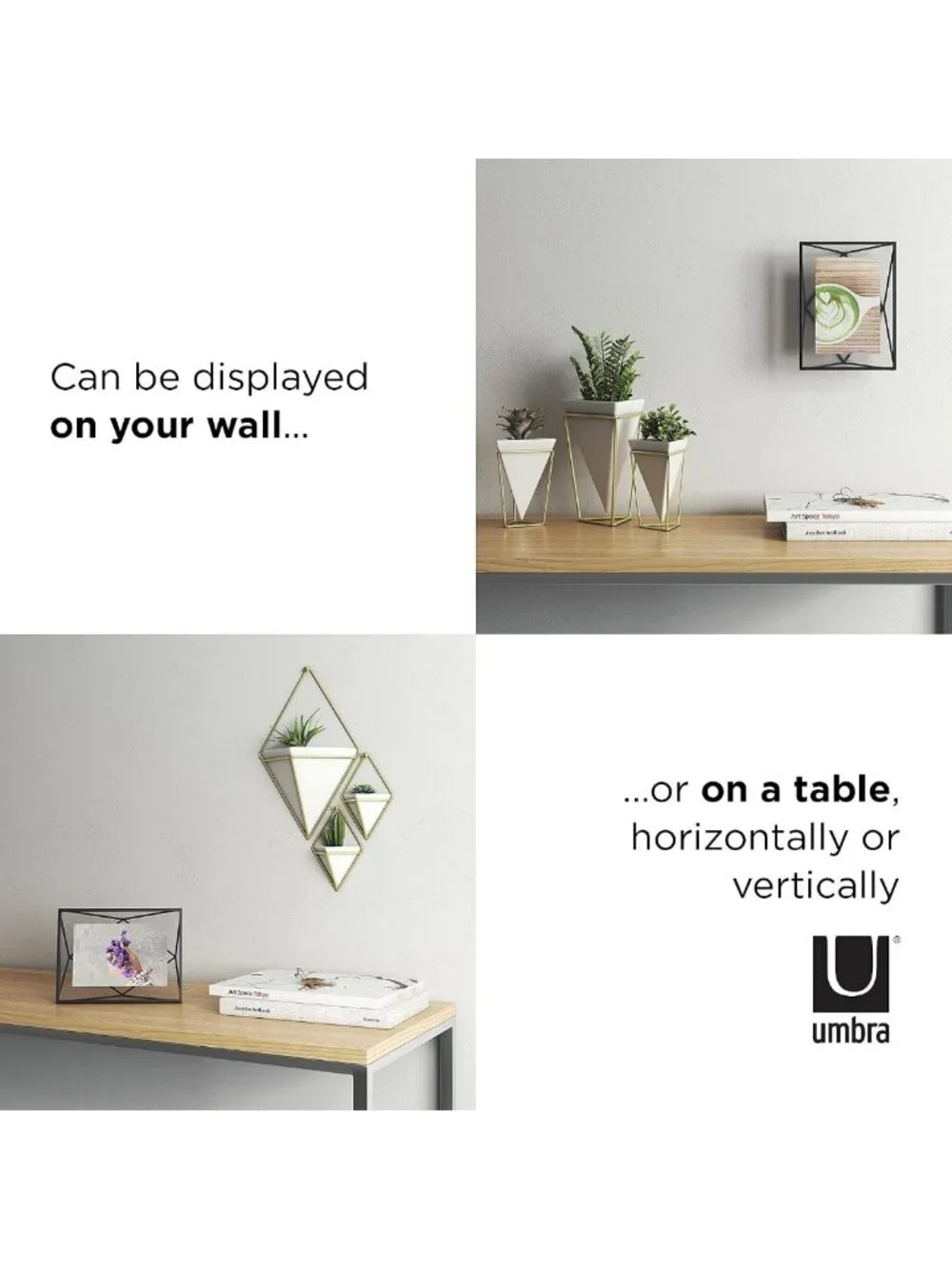 Modern Floating Metal Picture Frame 4x6 - Stylish Wall Decor for Home or Office